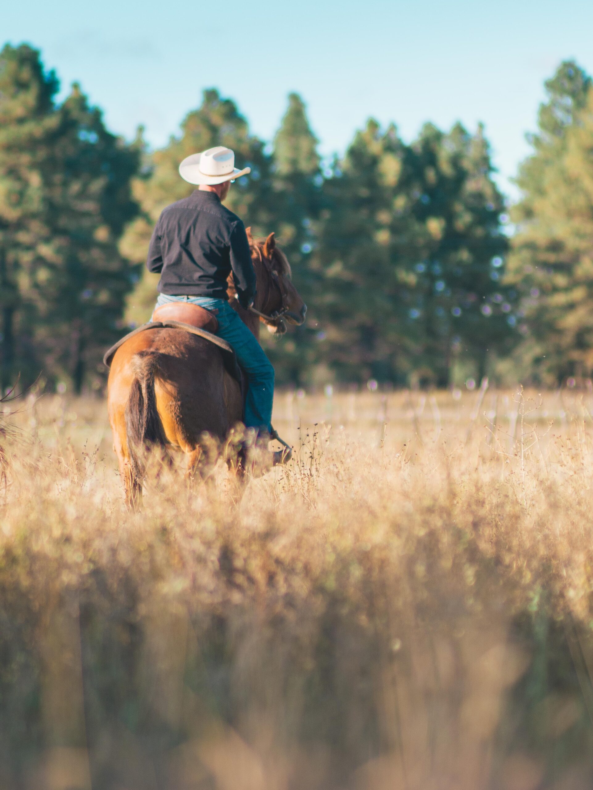 northern arizona mens retreats