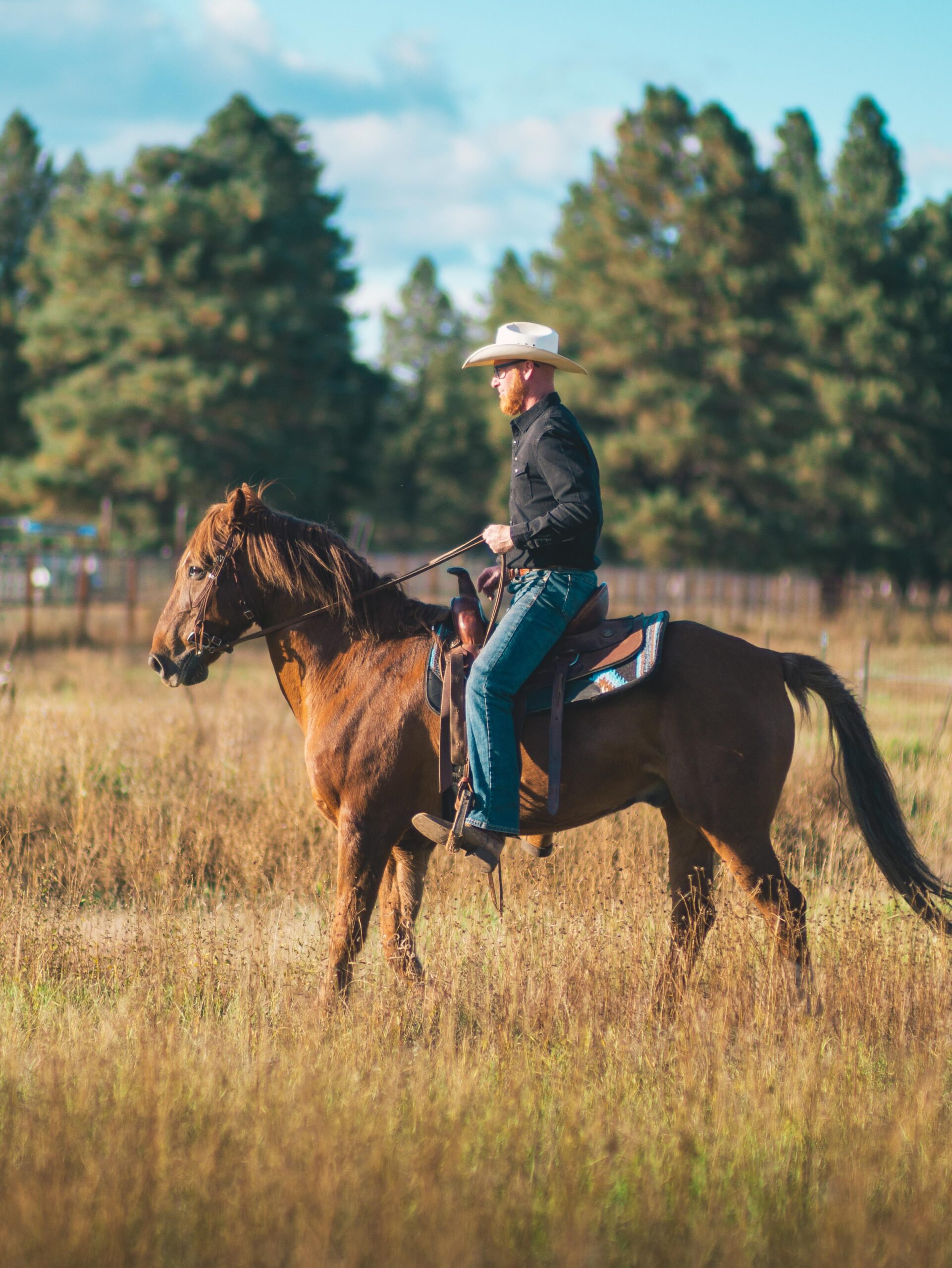 A man is sending his horse witha send commandat glopryview ranch in parks arizona