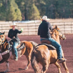 northern arizona family retreats